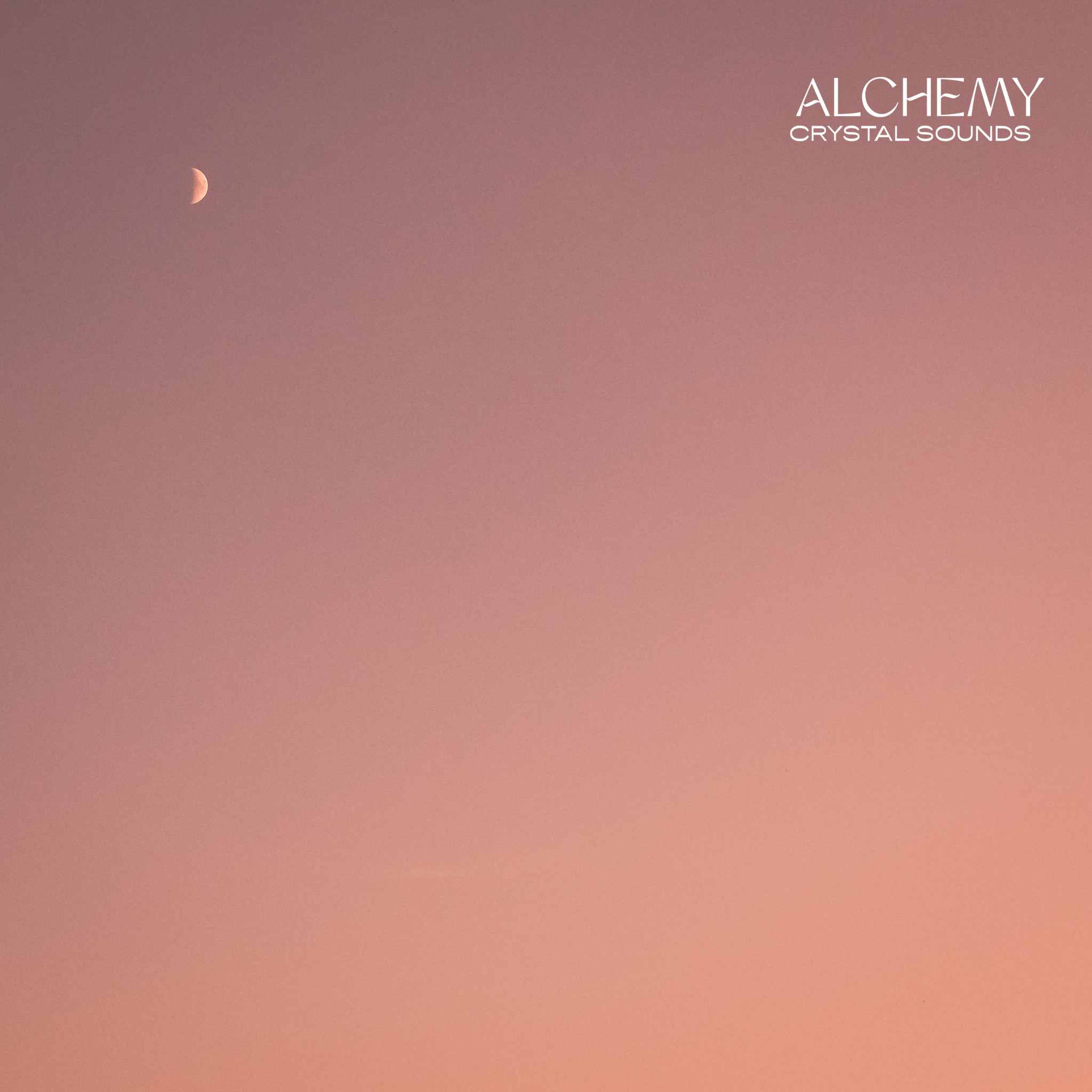 AFTERNOON RETREAT | Cacao, Breath & Sound | Full Pink Moon Special | The Hague